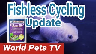 How to Fishless Water Cycle Switching over to DR Tim’s Nitrifying Bacteria [upl. by Hnamik]