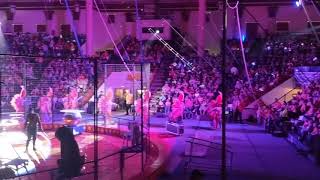 The Jaffa Shrine Circus Experience [upl. by Aidole]