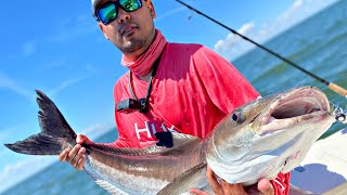 COBIA BITE WAS ON FIRE CHESAPEAKE BAY FISHING for COBIA SIGHT CASTING FOR COBIA CHASIN WAKE [upl. by Ferullo]