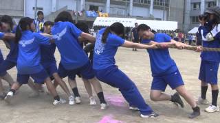 CHS Sports Day Tug of War 綱引き Red vs Blue [upl. by Eydie863]