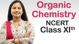 Organic Chemistry  Detection of Nitrogen Class 11th CBSE Chemistry [upl. by Ielirol]