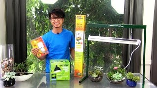 3 Convenient Grow Lights for Succulent Terrariums [upl. by Bubb]