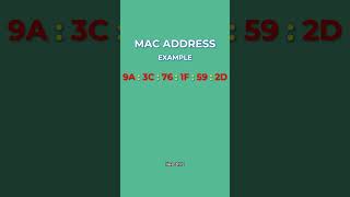 What is a MAC Address [upl. by Nnyled]