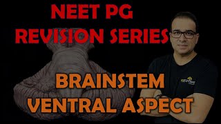 NEET PG BRAINSTEM VENTRAL ASPECT [upl. by Elagiba]