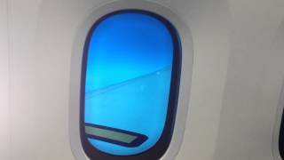 Boeing 787 Dreamliner Window Dimming [upl. by Rosabel]