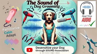 The sound of DOG GROOMING DESENSITIZE your Dog Through SOUND Association [upl. by Jamima]