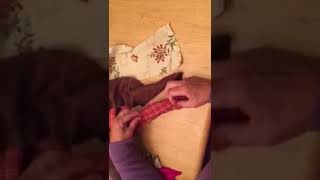 Twined Rag Rug Cutting Your Fabric [upl. by Salsbury161]