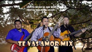 TE VAS AMOR PASACALLE MIXGRUPO MUSICAL LOS MEDINA [upl. by Hoeve662]