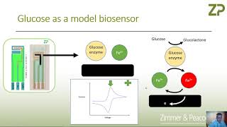 When to use or not use cyclic voltammetry in biosensor development [upl. by Amalee]