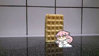 Waffle falling over Nina kuru kuru [upl. by Derraj]