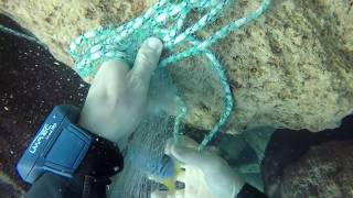 Catching cichlids at Chiwi Rock in lake Malawi [upl. by Haliehs]