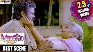 Sneham Kosam Movie  Chiranjeevi amp Nirmalamma Best Emotional Scene  Chiranjeevi  Shalimarcinema [upl. by Zerlina]