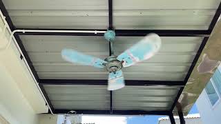 Marelli AC36 ceiling fan [upl. by Parnas]