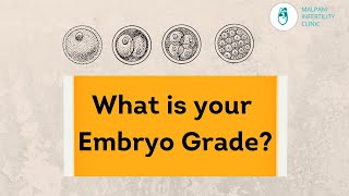 IVF  What do Embryo Grades mean [upl. by Euqinmod]