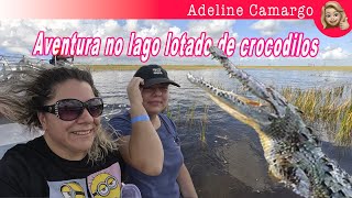 Aventura no lago lotado de crocodilos  Florida USA  Sawgrass Recreation Park [upl. by Eiuqnom457]