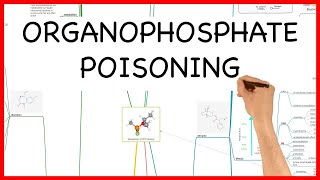 ORGANOPHOSPHATE POISONING LATEST VERSION PHARMACOLOGY SERIES [upl. by Gilges]