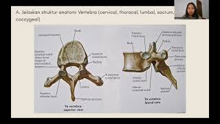 ANATOMI VERTEBRAE DAN M REGIO DORSUM [upl. by Ahsenid]