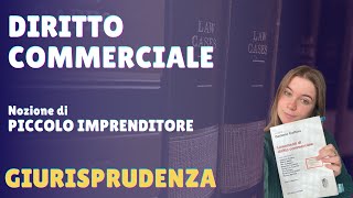 IL PICCOLO IMPRENDITORE  diritto commerciale GIURISPRUDENZA [upl. by Akcinehs]