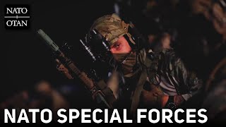 NATO Special Forces Work Together on Combat Ability in Denmark  Night Hawk [upl. by Ozkum]