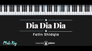 Dia Dia Dia  Fatin Shidqia KARAOKE PIANO  MALE KEY [upl. by Zaob]