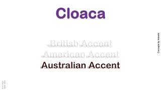 Cloaca How to Pronounce Cloaca in Australian Accent British Accent American Accent [upl. by Decato]