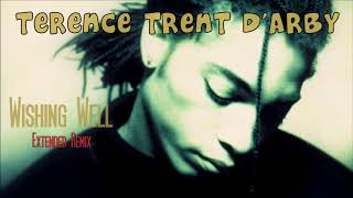 Terence Trent DArby  Wishing Well Extended Remix [upl. by Etra896]