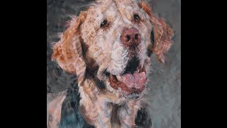 Yellow Lab Digital Painting timelapse process [upl. by Aletse]