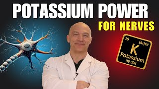 The Surprising Power of Potassium for Nerves  The Nerve Doctors [upl. by Ahsel]