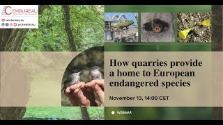 How Quarries Provide a Home to European Endangered Species [upl. by Ydnik]