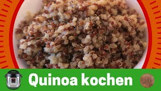 Quinoa kochen  Instant Pot Basics [upl. by Gerhard]