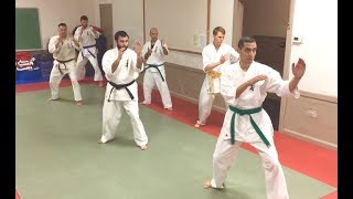 Enshin Karate SF Basic Sabaki Training [upl. by Aseretairam]