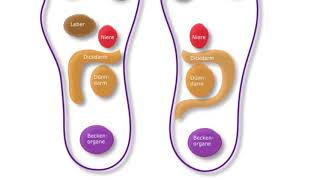 Einführung FußreflexzonenTherapie │Allgemein Verfahren der Naturheilkunde [upl. by Celik356]