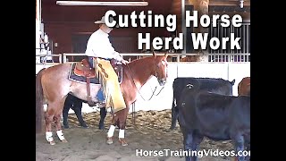 Cutting Horse Herd Work  Horse Training For Cutting Competition [upl. by Tessi]