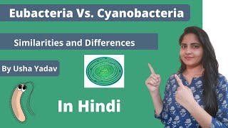 Eubacteria Vs Cyanobacteria their similarities and differences  Microbiologyseries [upl. by Majka911]