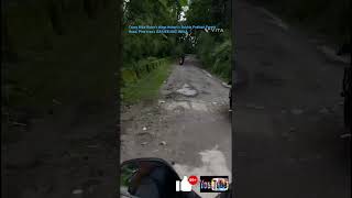 CRAZY BIKE RIDERS FOREST ROAD PINE TREES NEAR NEPAL BORDER DARJEELING vlogsTravelnatureindia [upl. by Richers312]