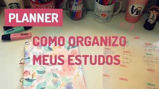 MEU PLANEJAMENTO DE ESTUDOS l PLANNER PARA RESIDÊNCIA MÉDICA [upl. by Berneta570]