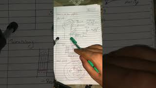 Difference between apical lateral and intercalary meristem [upl. by Palestine982]