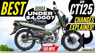 NEW Honda Trail 125 Review  CT125  Better than Grom Monkey amp Super Cub Motorcycles [upl. by Longerich480]