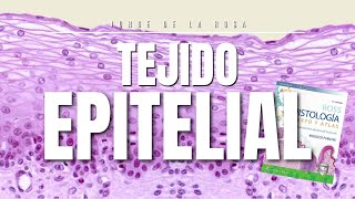 Tejido Epitelial  Resumen Histología Ross y Laminillas 🔍 [upl. by Siclari]