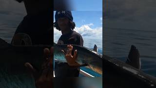 Macks huntermancing mancingdilaut ikantenggiri fishing handlinefishing kingfish kingmackerel [upl. by Asik551]