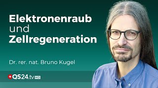 Silicium und Hochfrequenz Die faszinierende Verbindung für die Gesundheit  Naturmedizin  QS24 [upl. by Arlee405]