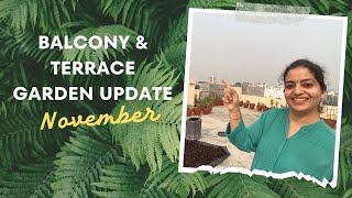 November mein yeh sab lagaya hai balcony aur terrace par  Terrace and Balcony Update [upl. by Aimee577]