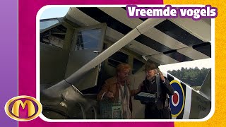 Vreemde vogels  🦸 Mega Mindy avonturen [upl. by Naut]