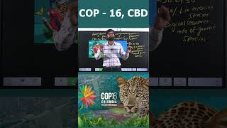 COP 16 CBD termsinnews whyinnews COP16CBD natureconservation sustainablefuture [upl. by Waynant]