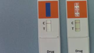 Positive and negative drug test results A guide to interpreting urine drug test kit results [upl. by Elades]