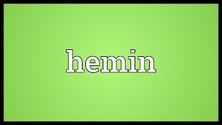 Hemin Meaning [upl. by Ahsyak]