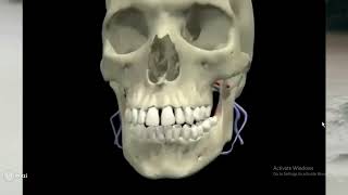 Periapical Lesions Part 3 [upl. by Nimrahc503]