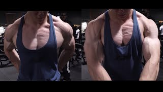 DAVID LAID SI IL ETAIT BODYBUILDER CHEST AND BACK [upl. by Aiym]