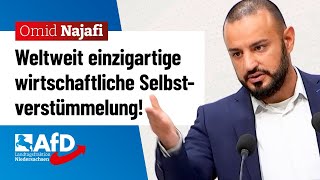 Weltweit einzigartige wirtschaftliche Selbstverstümmelung – Omid Najafi AfD [upl. by Charissa635]