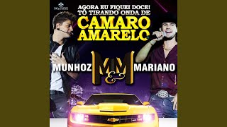 Camaro Amarelo [upl. by Murtha720]